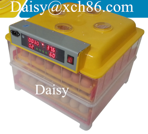 Mini XCH-48 lồng ấp điều kiện mới được sử dụng dezhou lồng ấp với giá - Product Image 4