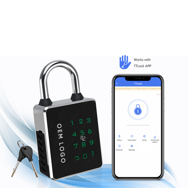 IP65 Waterproof Aluminum/Steel Smart Lock for Glass/Brass Doors with RFID Card NFC APP Control & Black Design