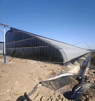 Serre solaire hydroponique isolée avec structure entièrement en acier et couverture en film