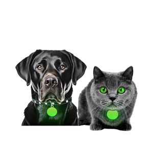 Collier lumineux en silicone vert phosphorescent pour petits animaux, avec pendentif rond gravable pour animaux de compagnie, style mode - Product Image 1