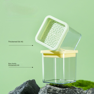 Kit de Cultivo Hidropónico de Hierba para Gatos, <span class=keywords><strong>Semillas</strong></span> de Hierba Gatera de Crecimiento Rápido sin Tierra, Plantas Seguras para Gatitos - Product Image 4