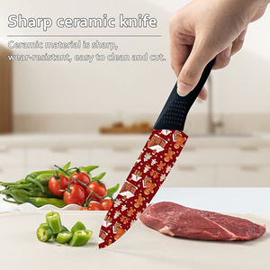 Nuevo Diseño, 5 Juegos de Vajilla de Cerámica Estilo Japonés, Apta para Lavavajillas, Fabricada en Fábrica, Entrega Rápida, Tienda de Comercio Electrónico Shopify - Product Image 4