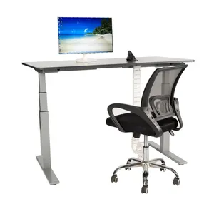 사무실 복음 인체 공학적 전기 높이 조절 컴퓨터 앉아 스탠드 책상