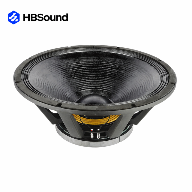 24-Inch PA Speakers With Subwoofer Box High Performance Outdoor Use