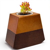 Urne funéraire pour animaux de compagnie en bois de pin naturel avec plateau pour plante, urne commémorative pour cendres d'animaux, décoration d'intérieur, cadeau de sympathie