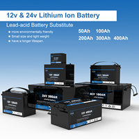 Ventes Flash Batteries Lithium-ion 24V 12V 48V 51.2V 50Ah 100Ah 200Ah 300Ah 400Ah Batteries de Stockage d'Énergie LiFePO4 Avec BMS