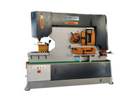 Machine de poinçonnage et de cisaillement combinée, machine de ferronnerie en acier série Q35Y 40, prix d'usine