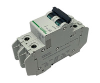 Disjoncteur 60164 Multi9 C60 UL489 2P 20A Courbe D pour PLC