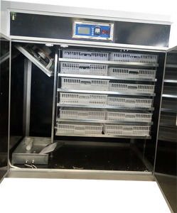 Fábrica de vender 1000/3000 ovos de codorna incubadora Dezhou preço no nepal - Product Image 3