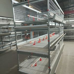 Tam otomatik galvanizli horoz kafesi tavuk çiftliği ekipmanları besleme sistemi hayvancılık tavuk kafesi tel makinesi Broiler yatıyordu - Product Image 6