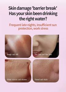 Private Label Natural Skin Care Moisturizing Anti Wrinkle Aging Niacinamide PDRN Hydrating Face <b>Mist</b> Spray - Product Image 5