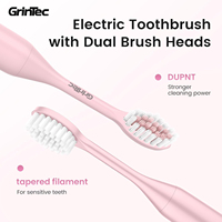 Brosse à dents électrique rechargeable avec têtes interchangeables, étui de voyage fin, logo personnalisé, sonique, OEM, pour adultes, Chine 2025
