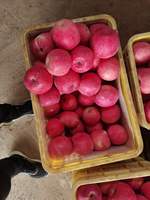 China Bulk Verse Appels Hoge Kwaliteit Vers Fruit Specificatie Rode Fuji appel Nieuwe Oogst Rode Verse Fuji appel Volledig Rode Appels