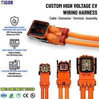 Harnais de câblage haute tension personnalisé pour véhicules électriques, assemblage de câbles avec connecteurs PTFE pour systèmes de groupe électrogène, onduleurs et PDU automobiles