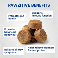 Booster de santé intestinale OEM pré-probiotiques et enzymes digestives pour chien à mastication douce 3 milliards d'UFC inuline poudre de citrouille