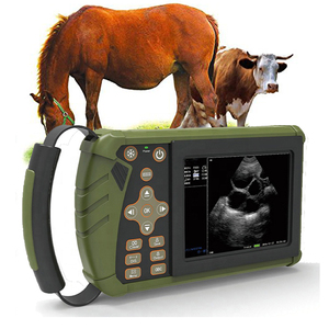 Équipement pour bovins à vendre Australie Machine d'occasion Preg Checking Beef Grossesse Test Bovin Animal Portable <span class=keywords><strong>Ultrasound</strong></span> - Product Image 1