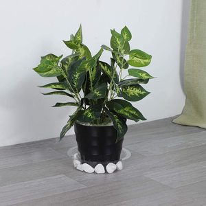 Plateaux transparents pour soucoupes de plantes, lot de 15, avec 15 étiquettes pour plantes, en plastique, Set de pots à fleurs pour l'intérieur et l'extérieur - Product Image 5