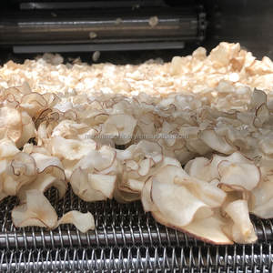 เครื่องทำชิชาลลอนหมูทอดกรอบ โมซิน อิเล็คทริค โมซิน ผลิตจากหนังหมู พร้อมอุปกรณ์ทอดและเครื่องทำมันฝรั่งทอด ผลิตในประเทศจีน - Product Image 4