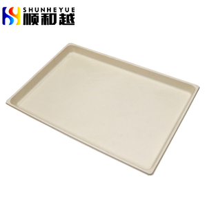 Customized Size Hard Plastic Pet Tray Blister Plastic Tray For Dog Cage ABS Thermo Forming