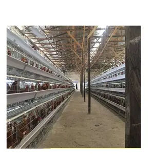 Cages de batterie de volaille à 2 cases automatique, raboteuse d'œufs, de poulet, de volaille, bon prix, vente, nouveauté