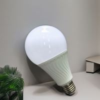 Ampoules LED Globe E27 de 3W à 18W, style Edison, télécommandées, écoénergétiques pour usage résidentiel