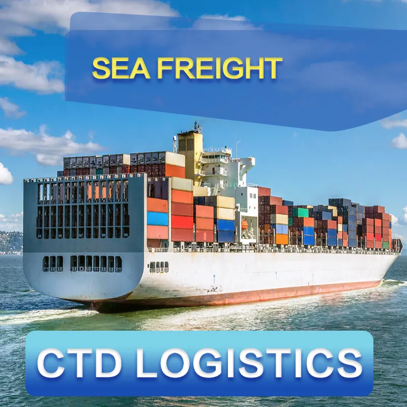 FCL/LCL Ocean shipping agent Sea shipping freight forwarder From China Sea shipping freight to Paramaribo Georgetown Nassau