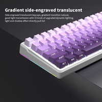 ZT99 Purple Led White Light 99Keys Hot Swappable Switch ABS Keycaps N-Key Rollover Wired Gasket USB Type-C Gaming Keyboard