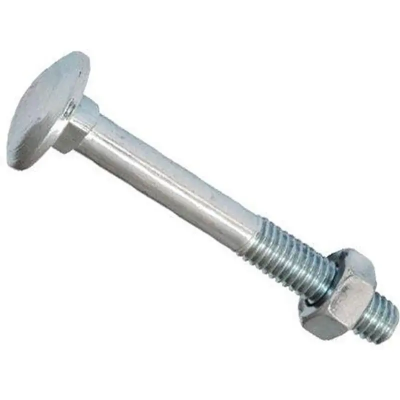 Carriage Bolts for Conduits & Fittings