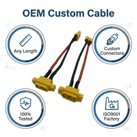 Rangkaian Kabel Harness Kustom OEM, Kabel PVC Berpelindung, Kontak Berlapis Emas, Tahan Tegangan 300V untuk Sistem PLC Otomasi Industri