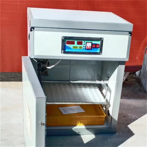 Nueva incubadora automática <span class=keywords><strong>de</strong></span> <span class=keywords><strong>huevos</strong></span> <span class=keywords><strong>de</strong></span> gallina <span class=keywords><strong>de</strong></span> alta calidad con tasa <span class=keywords><strong>de</strong></span> eclosión <span class=keywords><strong>de</strong></span> 220V 95% <span class=keywords><strong>para</strong></span> <span class=keywords><strong>huevos</strong></span> <span class=keywords><strong>de</strong></span> aves - Product Image 2