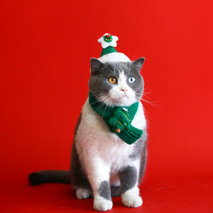 Produk Promosi Syal Rajut Kucing Natal yang Dapat Disesuaikan Gaya Manis Hadiah Hewan Peliharaan Kostum untuk Musim Dingin - Product Image 2
