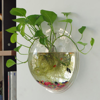 Aquarium mural en acrylique transparent, vase suspendu pour plantes, décoration murale pour la maison, pot hydroponique pour plantes vertes