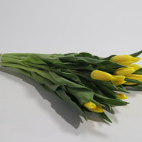 Pengiriman Cepat Grosir Tersedia Sepanjang Tahun Tulip Potong Segar Merah Kuning Oranye Putih Ungu untuk Dekorasi Rumah Pernikahan.