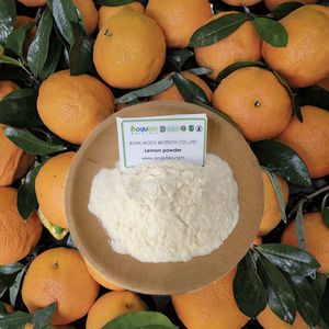 Poudre de jus de citron de qualité alimentaire, riche en vitamines, saveur délicieuse, extrait instantané d'herbes, conditionnée en fût, bouteille ou boîte - Product Image 2