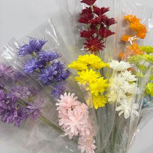 Bouquet di Cereus Notturno Essiccato e Conservato Fatto a Mano, 10 Pezzi/Bundle, per Esposizione in Casa e Vetrine - Product Image 3