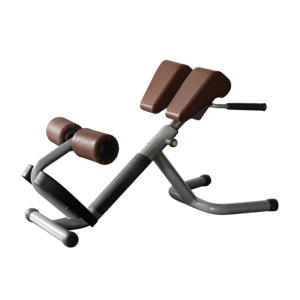 Bán Hot Máy Tập Thể Dục/Thiết Bị Tập Thể Dục Dưới Lưng Băng Ghế Dự Bị - Product Image 4