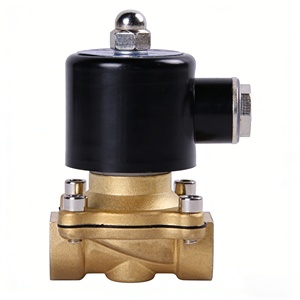 Válvula Solenoide de Latón con Rosca Interna para Riego Automático con Sellado Suave 24V - Product Image 4