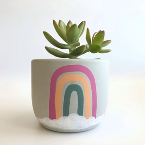 Cầu Vồng trồng-Chậu trồng bê tông vẽ tay chậu trồng cây có hệ thống thoát nước hoặc không có để trang trí nhà hiện đại - Product Image 4