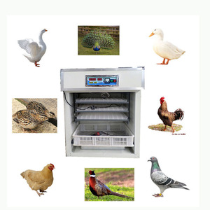 เครื่องฟักไข่สัตว์ปีกอเนกประสงค์คุณภาพสูง พร้อมราคาสุดคุ้ม - Product Image 3