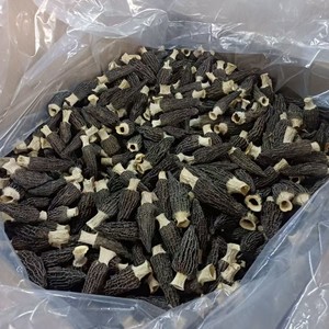 <span class=keywords><strong>Prix</strong></span> d'usine <span class=keywords><strong>Morilles</strong></span> <span class=keywords><strong>Morilles</strong></span> séchées - Product Image 5