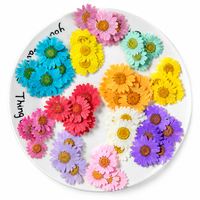 Bunga Daisy Standar Warna Alami Buatan Tangan dari Bunga Kering - Dekorasi DIY Ramah Lingkungan untuk Pernikahan, Hari Valentine & Natal