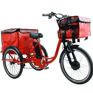 전기 Trike 3 바퀴 전기 자전거 전기 세발자전거 뚱뚱한 타이어 화물 자전거