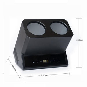 Frigorifero Elettrico Portatile a Doppia Zona per 2 Bottiglie, Mini Frigo a Batteria in Plastica per Casa, Hotel, Ristorante, Camper, Auto e Uso Esterno - Product Image 1