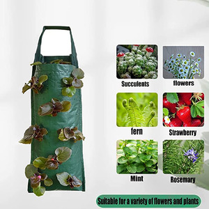 Sacs de culture de fraises de 3 gallons en gros d'usine, 10 pièces, en PE et feutre, sacs de culture pour plantes - Product Image 2