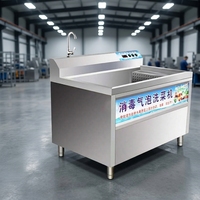 Frisse fruit- en groentewasmachine met luchtbellen en motor, 220V, 4kW vermogen
