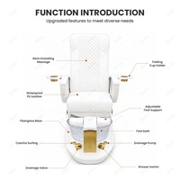 Luxury Multi Functional Foot Spa Massage Chair Silla Pedicura Custom Nail Salon Pedicure and Manicure Chairs Reclinable Electric