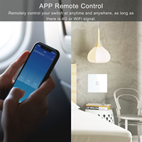 Interrupteur mural tactile en verre EU/UK Wi-Fi Tuya App, commande vocale, interrupteur électrique RF, produits multi-usages pour maison intelligente