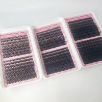 En gros, Clusters de cils individuels pré-coupés faits main DIY effet éventail, 9-16mm, Marque privée, Kit en livre avec pointes LASHES
