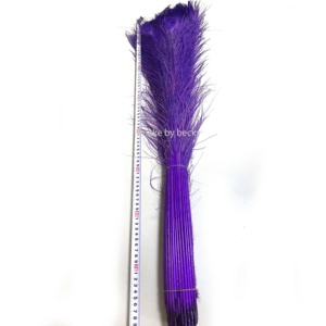 Plumas <span class=keywords><strong>de</strong></span> pavo real naturales <span class=keywords><strong>de</strong></span> 80-90cm blanqueadas y teñidas en colores variados para <span class=keywords><strong>manualidades</strong></span> <span class=keywords><strong>de</strong></span> <span class=keywords><strong>Pascua</strong></span> y Navidad, Carnaval - Product Image 4