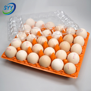 Bandeja <span class=keywords><strong>para</strong></span> Huevos de PET de Colores al por Mayor, Tipo Concha, con Tapa Desmontable, Grado Alimenticio, Antivaho, Antiestática, Apilable, RPET, OEM, Personalizada - Product Image 2